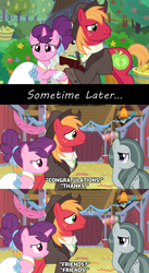 Size: 1280x2336 | Tagged: safe, anonymous artist, imported from derpibooru, big macintosh, marble pie, sugar belle, the big mac question, acceptance, aftermath, apple, apple tree, approval, barn, best wishes, better as friends, bittersweet, caption, captions, clothes, congratulations, dress, epilogue, fanfic idea, female, food, friends, friendship, friendshipping, good end, happy, hat, headcanon, hope, husband and wife, i want my beloved to be happy, i wish you love, intertwined trees, just friends, looking at each other, lyrics in the description, male, marriage, married couple, moving on, party, pear, pear tree, ship sinking, shipping, shirt, smiling, song reference, straight, sugarmac, suit, thanks, tree, vest, wedding, wedding dress, youtube link, youtube link in the description