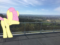 Size: 1280x960 | Tagged: safe, artist:didgereethebrony, imported from derpibooru, fluttershy, pegasus, pony, bathurst, butt, flutterbutt, irl, leaning on fence, lookout, mlp in australia, mount panorama, photo, plot, ponies in real life, solo