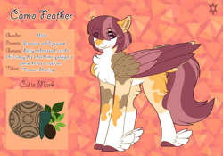 Size: 3500x2454 | Tagged: safe, artist:nobleclay, imported from derpibooru, oc, oc only, oc:camo feather, pegasus, pony, colored wings, feathered fetlocks, male, multicolored wings, offspring, parent:pipsqueak, parent:scootaloo, parents:scootasqueak, reference sheet, solo, stallion, tail feathers, wings