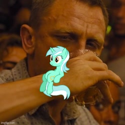 Size: 500x500 | Tagged: safe, edit, edited screencap, imported from derpibooru, screencap, lyra heartstrings, human, unicorn, alcohol, daniel craig, drinking, female, james bond, mare, meme, sitting, sitting lyra, skyfall