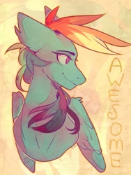 Size: 811x1080 | Tagged: safe, artist:samarina, imported from derpibooru, rainbow dash, pegasus, pony, bust, solo