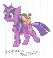 Size: 942x1043 | Tagged: safe, artist:cmara, imported from derpibooru, owlowiscious, twilight sparkle, alicorn, bird, owl, pony, female, male, mare, raised hoof, raised leg, simple background, traditional art, twilight sparkle (alicorn), white background