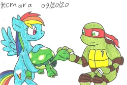 Size: 1284x866 | Tagged: safe, artist:cmara, imported from derpibooru, rainbow dash, tank, anthro, pegasus, pony, tortoise, turtle, bandage, bandana, bipedal, crossover, eyes closed, female, mare, petting, raphael, simple background, tape, teenage mutant ninja turtles, tmnt 2012, traditional art, white background