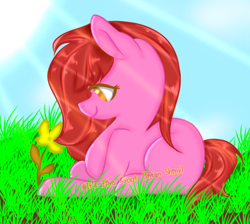 Size: 692x620 | Tagged: safe, artist:intan shiny, artist:velveagic silver, imported from derpibooru, oc, oc only, oc:lunatia elsa, earth pony, pony, alone, art trade, blue background, brown eyes, calm, cute, female, flower, grass, happy, lightning, red hair, simple background, sky, smiling, solo