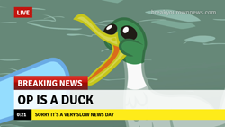 Size: 1280x720 | Tagged: safe, edit, edited screencap, imported from derpibooru, screencap, rainbow dash, bird, duck, mallard, may the best pet win, animal, beak, break your own news, breaking news, hooves, meme, op is a duck (reaction image), open beak, open mouth