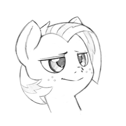 Size: 885x885 | Tagged: safe, artist:trickydick, imported from derpibooru, babs seed, earth pony, pony, female, filly, monochrome, solo