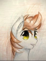 Size: 640x851 | Tagged: source needed, safe, artist:stardust0130, imported from derpibooru, oc, oc only, oc:devin, bat pony, pony, bat pony oc, bat wings, bust, male, portrait, solo, stallion, traditional art, wings