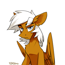 Size: 1088x1088 | Tagged: safe, artist:fantom, imported from derpibooru, oc, oc only, oc:breezy, oc:breezy brown, pegasus, pony, blue eyes, brown fur, male, serious, serious face, simple background, solo, spread wings, stallion, white background, white hair, wings