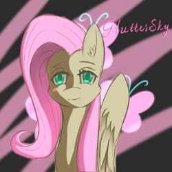 Size: 1063x1063 | Tagged: source needed, safe, artist:eric0999, imported from derpibooru, fluttershy, pegasus, pony, blushing, bust, cutie mark background, ear fluff, female, front view, full face view, looking at you, mare, name, portrait, solo, wings