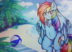 Size: 2048x1463 | Tagged: safe, artist:canvymamamoo, imported from derpibooru, rainbow dash, anthro, pegasus, semi-anthro, arm hooves, beach, beach ball, beach towel, belly button, blushing, breasts, cleavage fluff, clothes, cloud, ear fluff, female, looking at you, mare, palm tree, smiling, solo, swimsuit, tree