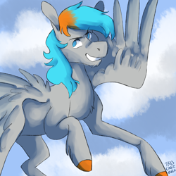 Size: 1850x1850 | Tagged: safe, artist:triscuitcafe, imported from derpibooru, oc, oc:shade flash, pegasus, cloud, flying, male, simple background, smiling, stallion