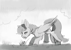 Size: 1239x878 | Tagged: safe, artist:toisanemoif, imported from derpibooru, oc, oc:shade flash, pegasus, grazing, herbivore, horses doing horse things, male, monochrome, simple background, sketch, stallion, unshorn fetlocks