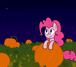 Size: 1500x1325 | Tagged: safe, artist:scraggleman, imported from derpibooru, pinkie pie, earth pony, pony, /mlp/, charlie brown, drawthread, great pumpkin, halloween, holiday, it's the great pumpkin charlie brown!, night, ponified, pumpkin, requested art, solo