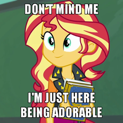 Size: 450x450 | Tagged: safe, edit, edited screencap, imported from derpibooru, screencap, sunset shimmer, equestria girls, equestria girls series, forgotten friendship, book, caption, clothes, cropped, cute, female, image macro, jacket, shimmerbetes, skirt, smiling, solo, text, yearbook