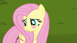 Size: 1280x720 | Tagged: safe, imported from derpibooru, screencap, fluttershy, pegasus, pony, keep calm and flutter on, blush sticker, blushing, cute, daaaaaaaaaaaw, female, mare, shyabetes, solo