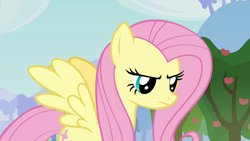 Size: 1280x720 | Tagged: safe, imported from derpibooru, screencap, fluttershy, pegasus, pony, keep calm and flutter on, female, mare, solo