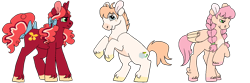 Size: 1500x500 | Tagged: safe, artist:rattastics, imported from derpibooru, oc, oc only, oc:bright cherry, oc:doodlebug, oc:ladybird, earth pony, pegasus, pony, unicorn, female, freckles, half-siblings, male, mare, offspring, parent:big macintosh, parent:fluttershy, parent:sugar belle, parents:fluttermac, parents:sugarmac, rearing, siblings, simple background, stallion, transparent background, unshorn fetlocks