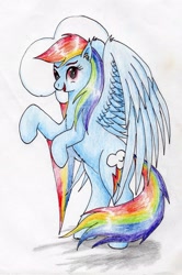 Size: 1915x2879 | Tagged: safe, artist:40kponyguy, derpibooru exclusive, imported from derpibooru, rainbow dash, pegasus, pony, bipedal, cutie mark background, ear fluff, female, looking at you, mare, rearing, simple background, solo, spread wings, traditional art, wings