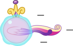 Size: 429x275 | Tagged: safe, princess cadance, alicorn, pony, crossover, crown, female, jewelry, levitation, magic, mare, regalia, self-levitation, simple background, solo, sonic the hedgehog (series), spin dash, spread wings, telekinesis, transparent background, wings