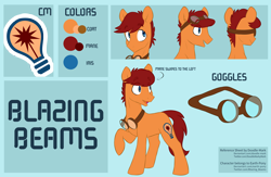 Size: 6900x4500 | Tagged: safe, artist:chub-wub, imported from derpibooru, oc, oc only, oc:blazing beams, earth pony, pony, colors, commission, goggles, male, reference sheet, simple background, solo, transparent background