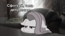 Size: 1280x720 | Tagged: safe, imported from derpibooru, pinkie pie, earth pony, pony, caption, cyrillic, depressed, image macro, irl, photo, pinkamena diane pie, ponies in real life, russian, solo, text