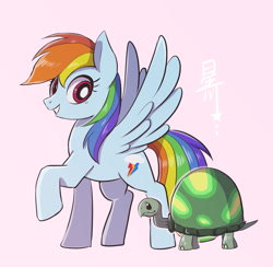 Size: 1076x1050 | Tagged: safe, artist:hosikawa, imported from derpibooru, rainbow dash, tank, pegasus, pony, tortoise, cute, duo, pink background, simple background