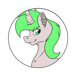 Size: 512x512 | Tagged: safe, artist:chazmazda, imported from derpibooru, oc, pony, bust, bust shot, commission, commissions open, eye shine, flat colors, flatcolours, fluffy, green eyes, green hair, photo, portrait, shiny eyes, simple background, solo, transparent, transparent background