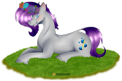 Size: 5000x3340 | Tagged: safe, artist:chazmazda, imported from derpibooru, oc, oc:doodlebop, pony, bubble, colored, cute, cutie mark, cutitemark, flat colors, flatcolour, floral head wreath, flower, fluffy, full body, fullbody, grass, hooves, outline, patreon, photo, shade, shine, short hair, simple background, solo, transparent, transparent background