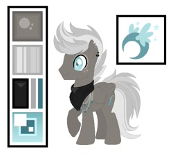 Size: 632x564 | Tagged: safe, artist:helemaranth, imported from derpibooru, oc, oc only, pegasus, pony, ear piercing, earring, jewelry, male, neckerchief, pegasus oc, piercing, raised hoof, reference sheet, solo, stallion, wings