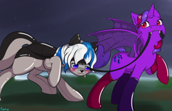 Size: 1224x792 | Tagged: safe, artist:edgarkingmaker, imported from derpibooru, oc, oc:lady lightning strike, oc:violet rose ze vampony, alicorn, bat pony, bat pony alicorn, pegasus, bat wings, clothes, female, horn, latex, latex suit, leash, mouth hold, night, pet play, socks, submissive, wings