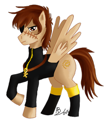 Size: 526x600 | Tagged: artist needed, safe, imported from derpibooru, pegasus, pony, captain harlock, ponified, simple background, solo, transparent background