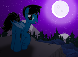 Size: 9054x6600 | Tagged: safe, artist:agkandphotomaker2000, imported from derpibooru, oc, oc:pony video maker, bat pony, pony, bat wings, butt, cliff, dock, fangs, forest, looking at you, moon, mountain, plot, show accurate, species swap, stars, wings