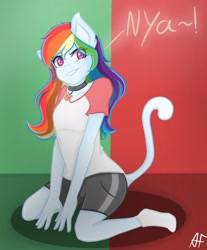 Size: 1280x1549 | Tagged: safe, artist:anoukfeenstra101, imported from derpibooru, rainbow dash, cat, equestria girls, cat ears, cat tail, catgirl, female, nya, rainbow cat, solo