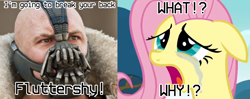 Size: 3846x1528 | Tagged: safe, edit, edited screencap, imported from derpibooru, screencap, fluttershy, hurricane fluttershy, abuse, bane, batman, crossover, crying, flutterbuse, go to sleep gladmane, mad max