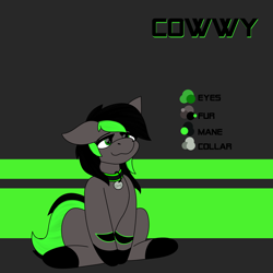 Size: 3026x3024 | Tagged: safe, artist:ryanthecone, imported from derpibooru, oc, oc only, oc:cowwy, earth pony, color palette, commission, reference sheet, sitting