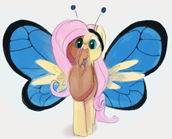 Size: 877x711 | Tagged: safe, artist:dotkwa, imported from derpibooru, fluttershy, butterfly, pegasus, pony, antennae, bag, butterfly wings, candy, candy bag, clothes, costume, cute, female, flutterfly, food, halloween, halloween costume, holiday, looking at you, mare, mouth hold, shyabetes, solo, wings