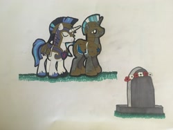 Size: 4032x3024 | Tagged: safe, artist:magicnova, derpibooru exclusive, imported from derpibooru, shining armor, pony, unicorn, armor, flower, gravestone, male, remembrance day, royal guard, royal guard armor, stallion, traditional art