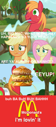 Size: 1280x2876 | Tagged: safe, edit, edited screencap, imported from derpibooru, screencap, applejack, big macintosh, fluttershy, earth pony, pegasus, pony, applebuck season, no second prances, sounds of silence, big mac (burger), burger, caption, captions, eeyup, floppy ears, food, hamburger, im lovin it, mcdonald's, name pun, namesake, pun, visual pun, you deserve a break today