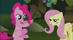 Size: 496x271 | Tagged: safe, imported from derpibooru, screencap, fluttershy, pinkie pie, earth pony, pegasus, pony, bridle gossip, season 1, cropped, duo, everfree forest, evil enchantress, flutterguy, fluttershy is not amused, polka dots, sitting, spitty pie, tongue out, unamused