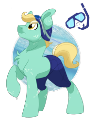 Size: 1200x1500 | Tagged: safe, artist:itstaylor-made, imported from derpibooru, oc, oc only, oc:free style, earth pony, pony, clothes, male, shorts, simple background, solo, stallion, transparent background