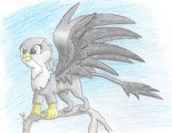 Size: 2119x1638 | Tagged: safe, artist:goldenflow, imported from derpibooru, gabby, griffon, bag, beak, branches, colored pencil drawing, female, happy, leonine tail, paws, sky, solo, spread wings, talons, traditional art, tree, wings