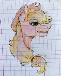 Size: 1080x1350 | Tagged: safe, artist:moona_lou, imported from derpibooru, applejack, earth pony, pony, bust, female, graph paper, hat, mare, smiling, solo, traditional art