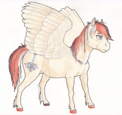 Size: 6320x5950 | Tagged: safe, artist:lady-limule, imported from derpibooru, oc, oc only, pegasus, pony, colored hooves, female, mare, pegasus oc, simple background, solo, traditional art, white background, wings
