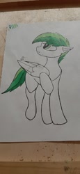 Size: 738x1600 | Tagged: artist needed, safe, derpibooru exclusive, imported from derpibooru, oc, oc only, oc:dreamer skies, pegasus, pony, birthday gift, gift art, looking up, male, pegasus oc, pony oc, solo, stallion, traditional art, wings