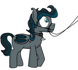 Size: 1000x900 | Tagged: artist needed, safe, imported from derpibooru, oc, oc only, oc:flying saucer, bat pony, pony, bat pony oc, bat wings, bridle, collar, male, pet tag, simple background, solo, stallion, tack, transparent background, wings