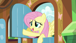 Size: 1920x1080 | Tagged: safe, imported from derpibooru, screencap, fluttershy, pegasus, pony, the hooffields and mccolts, female, fluttershy's cottage, mare, solo