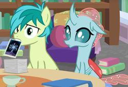 Size: 982x671 | Tagged: safe, imported from derpibooru, screencap, ocellus, sandbar, tree of harmony, changedling, changeling, earth pony, pony, what lies beneath, book, bookshelf, couch, cropped, male