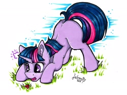 Size: 1920x1439 | Tagged: safe, artist:julunis14, imported from derpibooru, twilight sparkle, insect, ladybug, pony, unicorn, bent over, blank flank, cute, face down ass up, female, filly, filly twilight sparkle, grass, high res, markers, signature, solo, traditional art, twiabetes, twilight hates ladybugs, unicorn twilight, young, younger