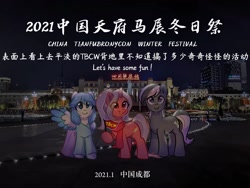 Size: 2048x1536 | Tagged: safe, imported from derpibooru, oc, oc only, earth pony, pegasus, pony, unicorn, 2021, chengdu, china, chinese, irl, photo, tianfu bronycon