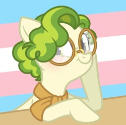 Size: 1024x1015 | Tagged: safe, artist:hopenotfound, artist:sakurainu2715, imported from derpibooru, pistachio, earth pony, pony, alternate hairstyle, female, glasses, pride, pride flag, rule 63, solo, trans female, trans girl, transgender, transgender pride flag